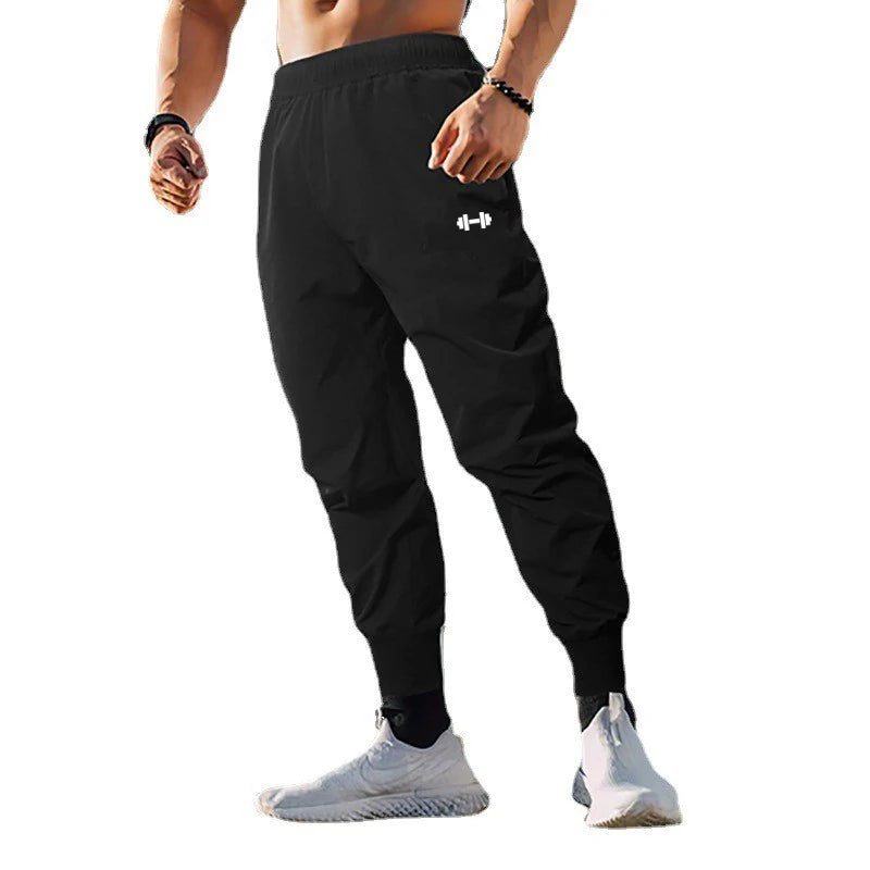 Gym Bodybuilding Fitness Sport Pants - Saiyan Genetics